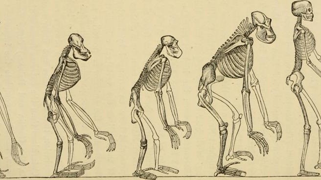 Are we trading long term wisdom for Fool’s Gold?